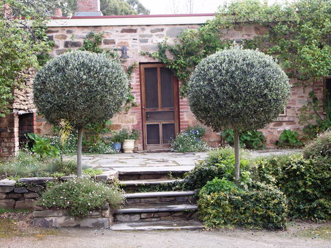 The Heritage Garden - Accommodation QLD 0