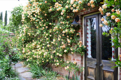 The Heritage Garden - Accommodation QLD 3
