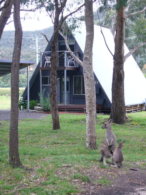 The A-Frame - Accommodation QLD 0