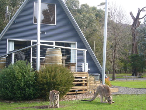 The A-Frame - Accommodation QLD 9