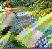 Warrabah campground and picnic area - Accommodation QLD