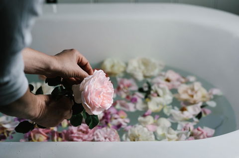 Acre Of Roses - Accommodation QLD 5