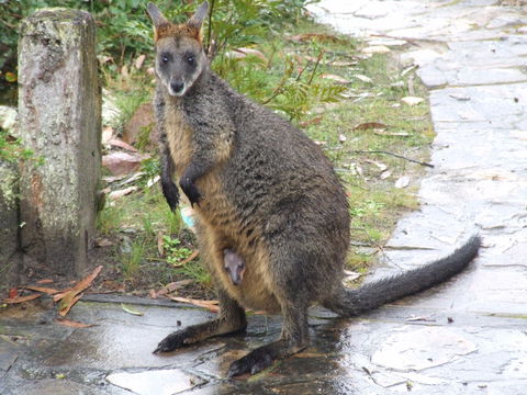 Aquila Eco Lodges - Accommodation QLD 4