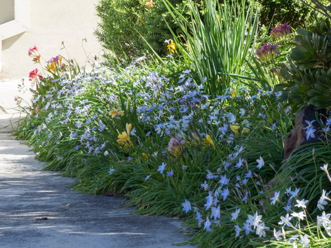 Austin Rise B&B - Accommodation QLD 2