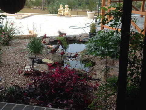 BellbirdHill Bed And Breakfast - Accommodation QLD 4