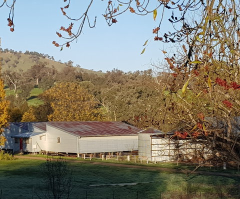 Bibbaringa Shearers Quarters And The WoolShed - Accommodation QLD 6