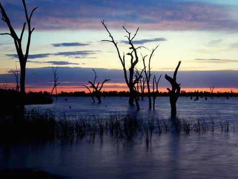 BIG4 NRMA Yarrawonga Mulwala Holiday Park - Accommodation QLD 9