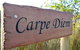 Carpe Diem - thumb 0