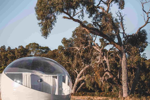 Coonawarra Bubble Tents - Accommodation QLD 0