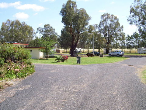 Dunedoo Caravan Park - Accommodation QLD 2
