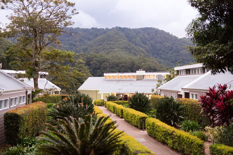 Eden Health Retreat - Accommodation QLD 0