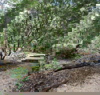 Eungella National Park camping - Accommodation QLD