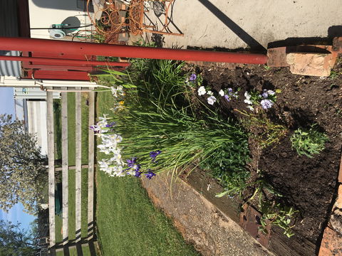 Fairview Bed And Breakfast Cottage - Accommodation QLD 2