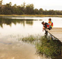 Farm on Franklin Campground - Accommodation QLD