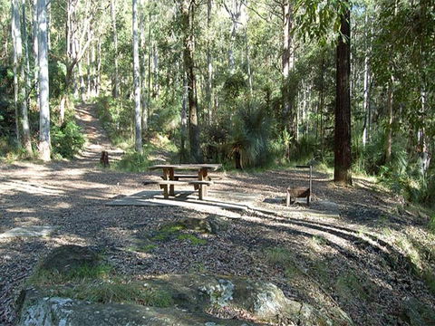 Gap Creek Campground - Accommodation QLD 1