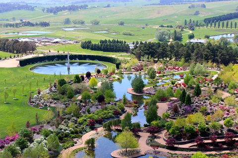 Glamping At Mayfield Garden - Accommodation QLD 0