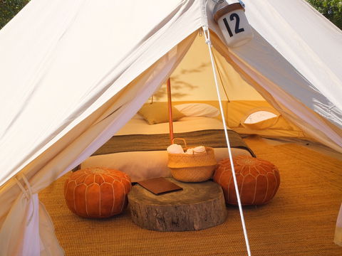 Glamping At Mayfield Garden - Accommodation QLD 1
