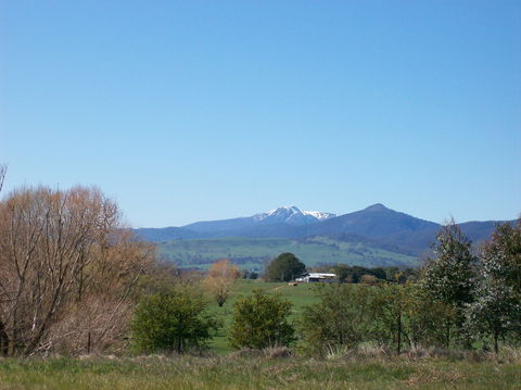 Goughs Bay Holiday Cottages - Accommodation QLD 6
