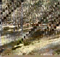 Greenbah campground - Accommodation QLD