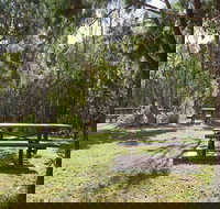 Illaroo group camping area - Accommodation QLD