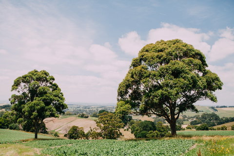 Kardella Country Homestead - Accommodation QLD 9