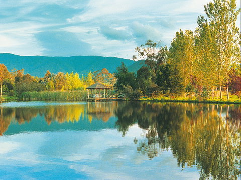 Kingbilli - Accommodation QLD 0