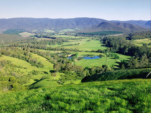 Kingbilli - Accommodation QLD 1