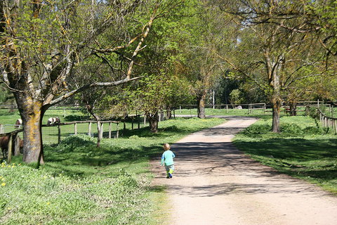 Kingbilli - Accommodation QLD 3