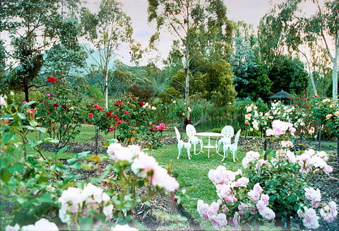 Kingbilli - Accommodation QLD 4