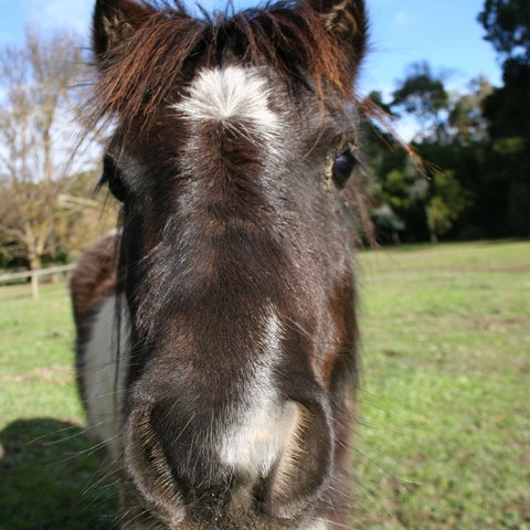 Kingbilli - Accommodation QLD 8