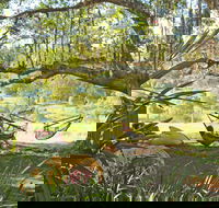 Nimbin Rox YHA - Accommodation QLD