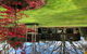 Rockpool Gardens - thumb 0