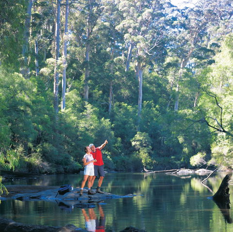 Warren Camp At Warren National Park - Accommodation QLD 2