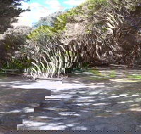 3 Mile Bend Campground - Beachport Conservation Park - Accommodation QLD