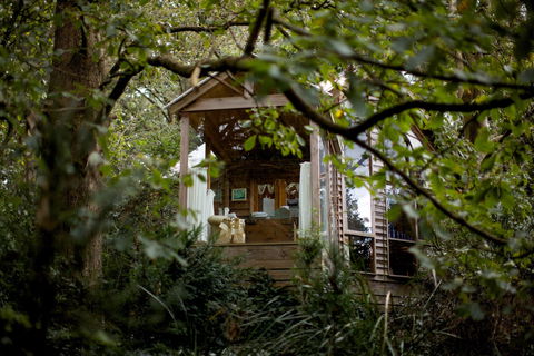 Arcadia Cottages - Accommodation QLD 1