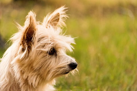 Barkala Farmstay - Accommodation QLD 1