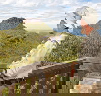 Bark Hut picnic area and campground - Accommodation QLD