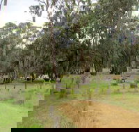 Ben Halls campground - Accommodation QLD