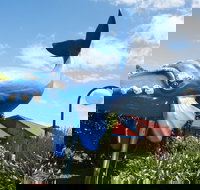 Blue Whale Motor Inn and Apartments - Accommodation QLD