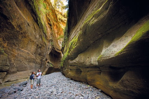 Carnarvon National Park Camping - Accommodation QLD 0