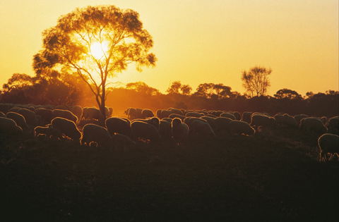 Clandulla Cottages & Farmstay - Accommodation QLD 0