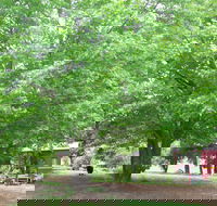 Hill End Holiday Ranch - Accommodation QLD