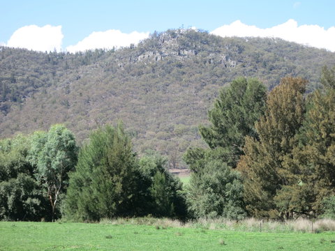 Jessica's Guest House And Vineyard - Accommodation QLD 0