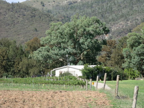 Jessica's Guest House And Vineyard - Accommodation QLD 2