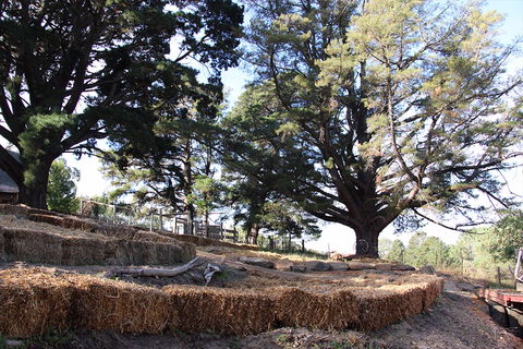 Longwood Retreat - Accommodation QLD 0