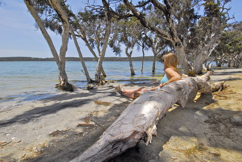 Margaret Cove Camp At Stokes National Park - Accommodation QLD 2