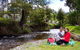 Marysville Caravan And Holiday Park - thumb 1