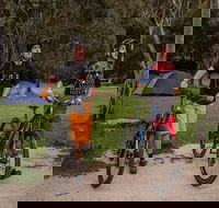 Ngarigo campground - Accommodation QLD