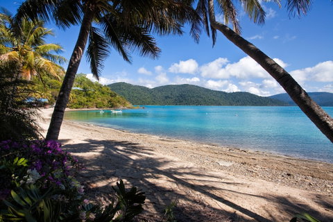 Palm Bay Resort - Accommodation QLD 2