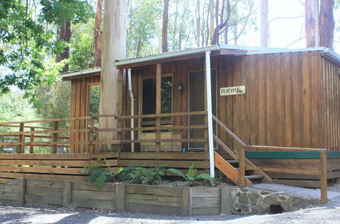 Tarra Valley Caravan Park - Accommodation QLD 1